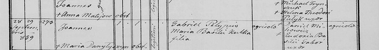 Запис про народження 28 вересня 1859 року, будинок 273, батько Gabriel Pełypiw